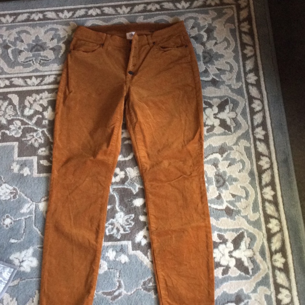 CAbi Brown Skinny Jeans Modern Fit